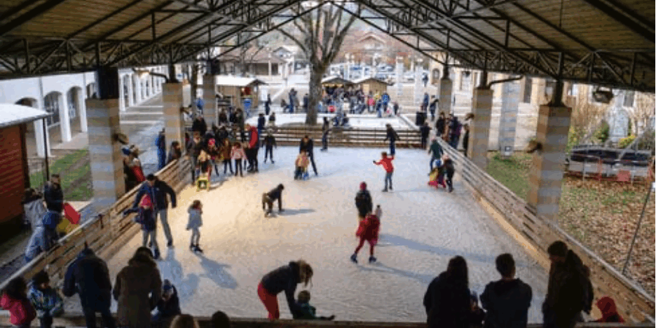 Parc Glacé Metz-Tessy